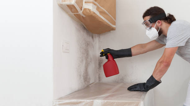 Professional Mold Remediation technician working in Weems, VA
